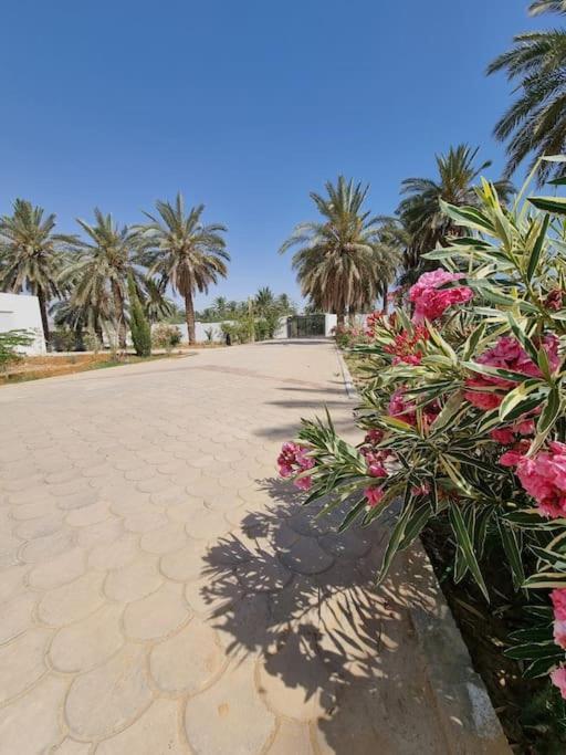 Dar Jamila - Au Coeur De L'Oasis - Villa Gabès Buitenkant foto